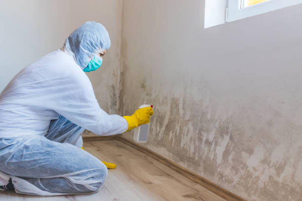 Licensed Commercial Mold Remediation service in Pottstown, PA - WQB Mold Removal