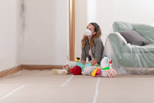 Reliable Commercial Mold Remediation contractor in Pottstown, PA by WQB Mold Removal